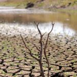 França atravessa a pior seca de sempre