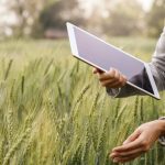 Projeto-piloto da UE projeta estrutura para avaliar o uso de soluções digitais para agricultura sustentável